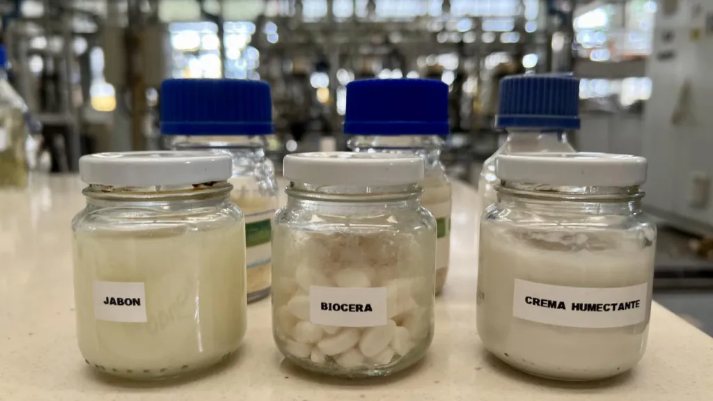Nuevos productos cosméticos hechos con palma de cera