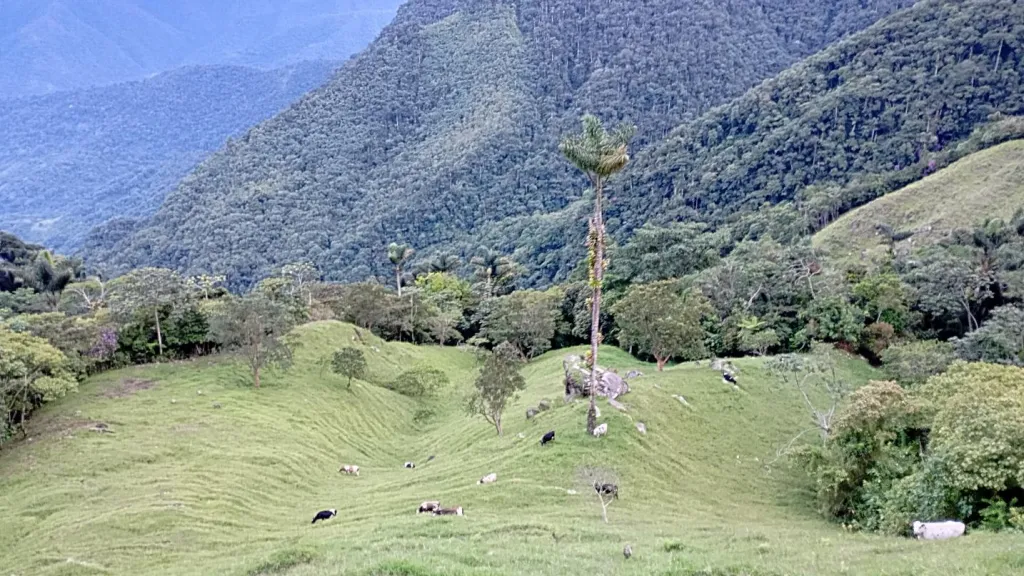 Sitios para conocer en Santa Marta: turismo con comunidades campesinas 