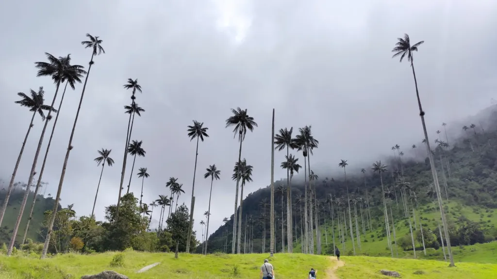 Cambio del escudo del Quindío | Escudo antes y ahora