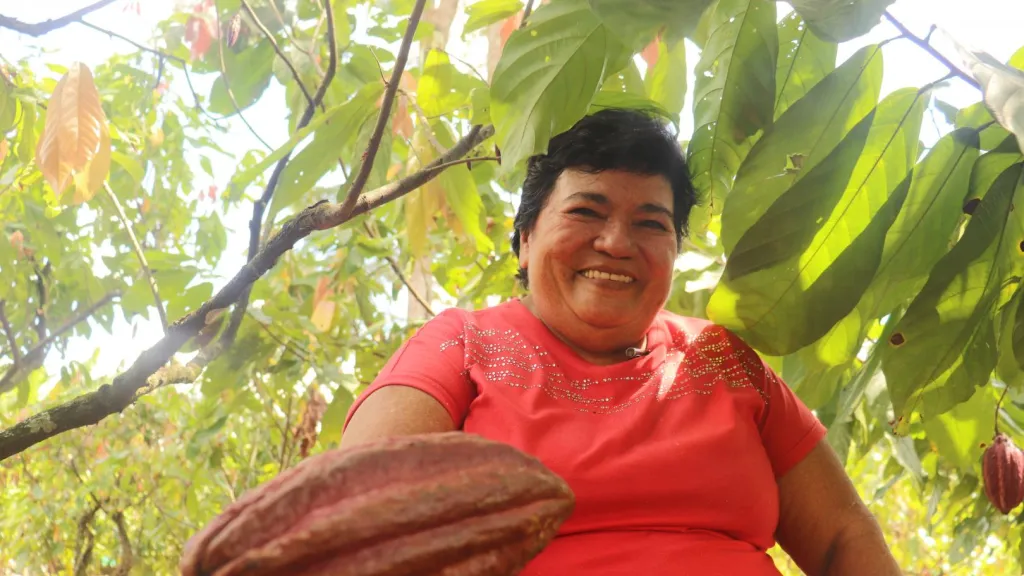 Mujeres campesinas: emprendimiento con el cacao en el Meta