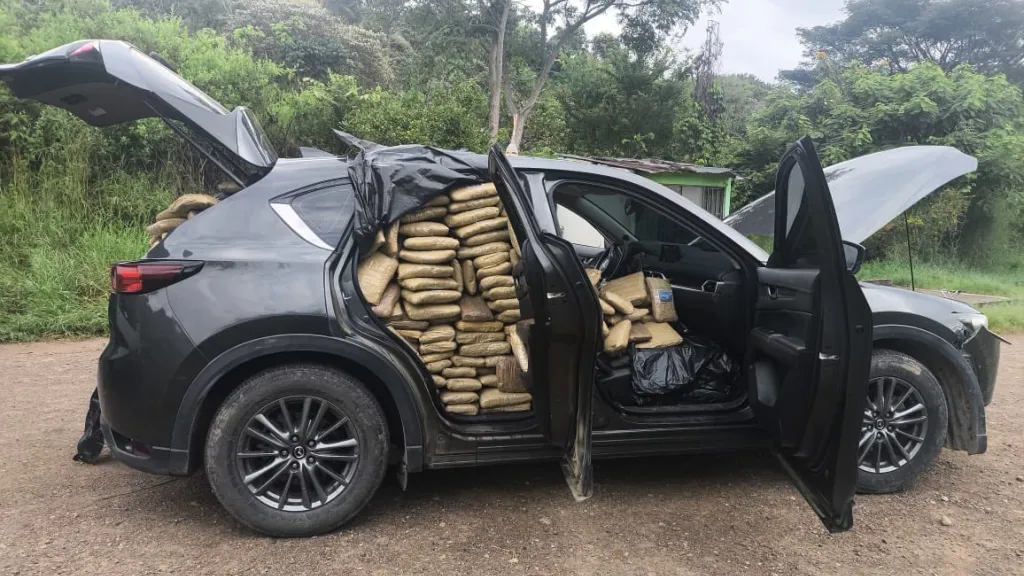 Incautan 541 kilos de marihuana en la Plata, Huila
