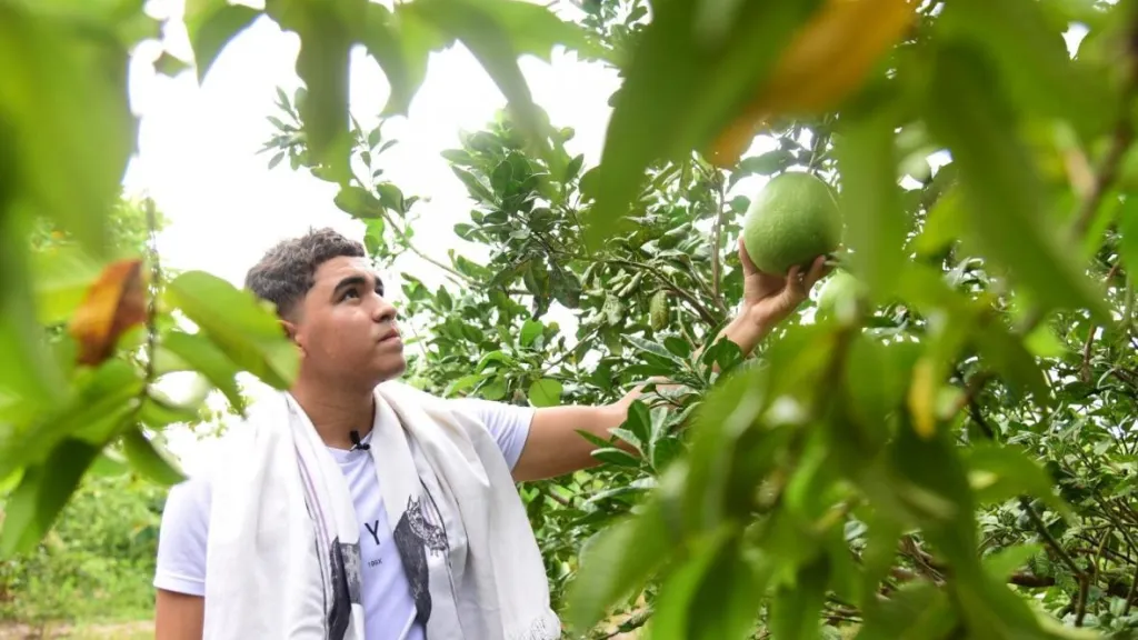 Huerta autosostenible en Atlántico: qué es y cómo funciona