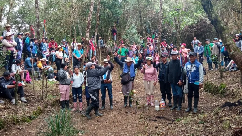 Las plantas nativas y medicinales, una sabiduría natural que nace desde los espacios de vida del resguardo de Pueblo Nuevo, sa’th tama kiwe, en Caldono, Cauca