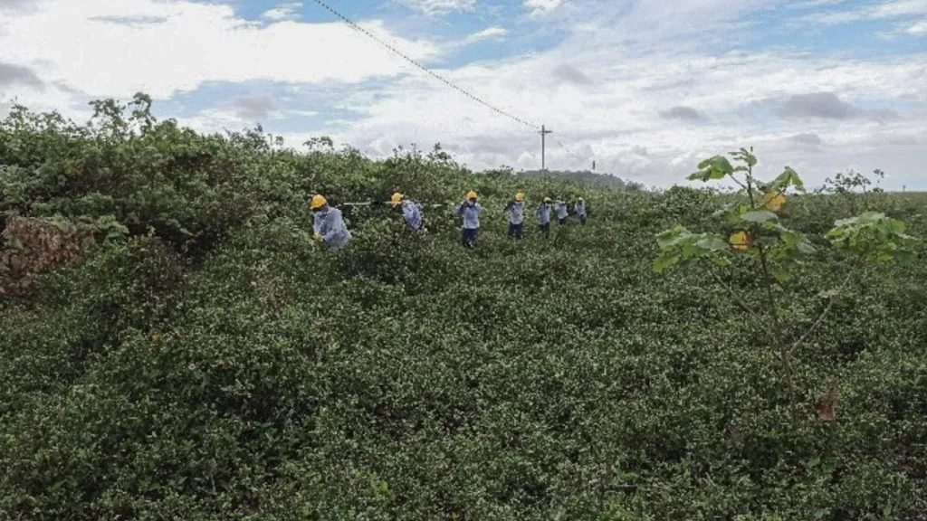 Pacífico nariñense