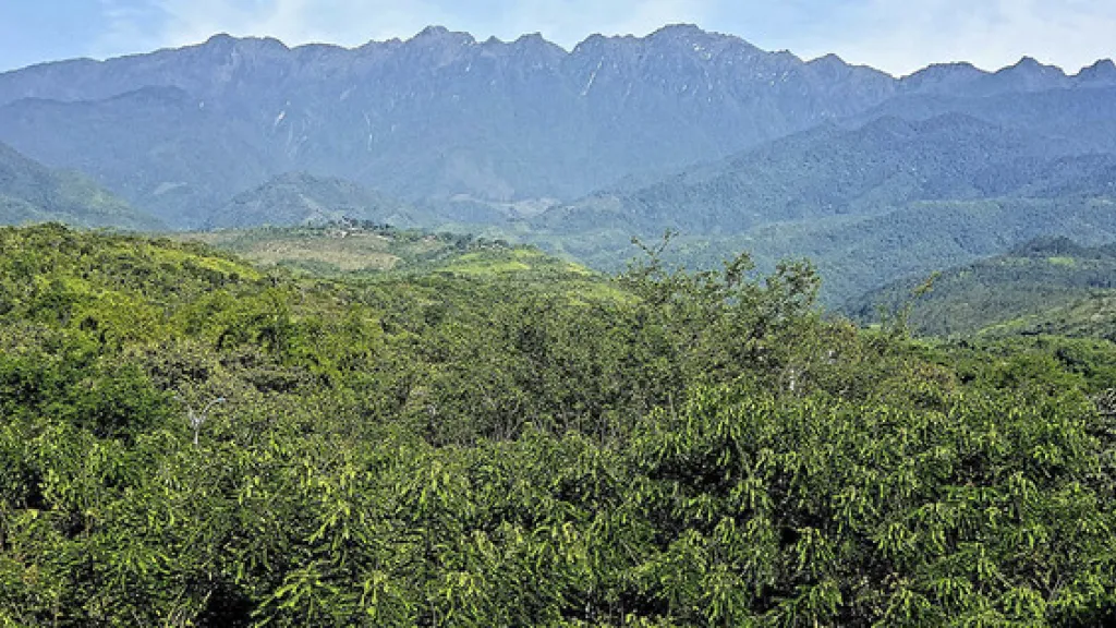 minería de oro ilegal en Colombia 