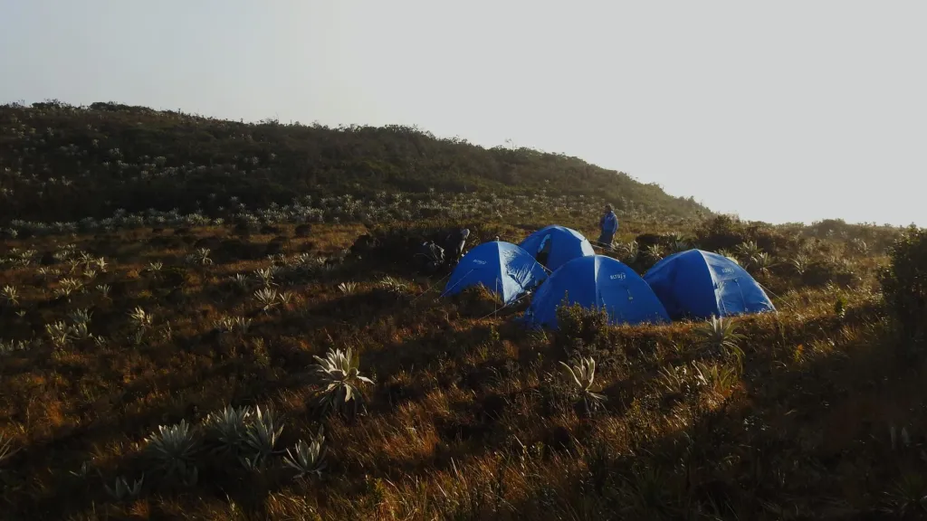 Miraflores, el páramo con algunas de las más variadas riquezas naturales del Huila