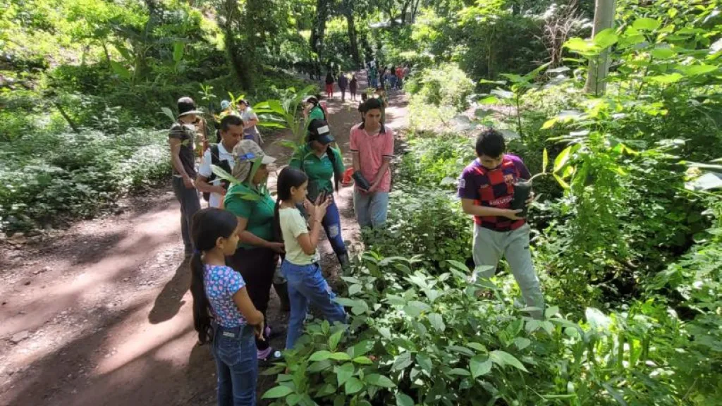 Semillero Ambiental en San José de Oriente: Crianza de futuros líderes ecológicos