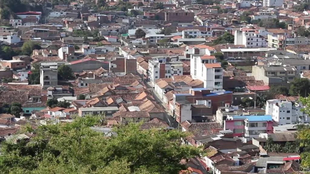 Proyectos agrícolas: Población del Catatumbo tendrá financiación 