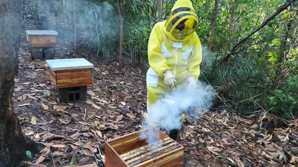 Apicultura en Antioquia: Abejas, municipios y economía