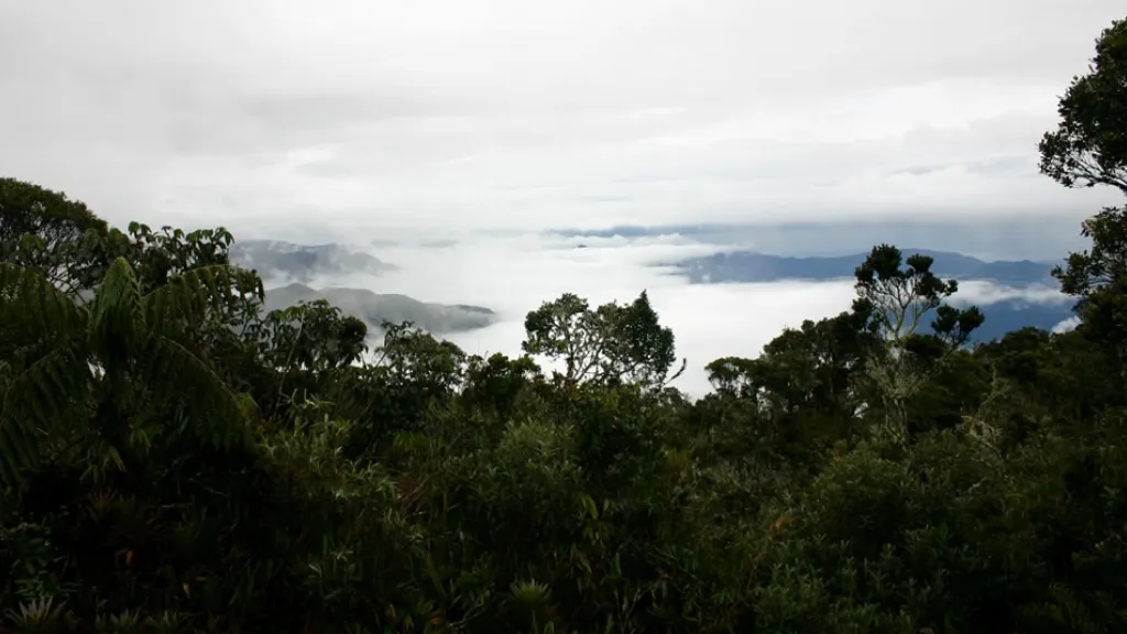 Parque Farallones de Cali, riesgo por minería ilegal