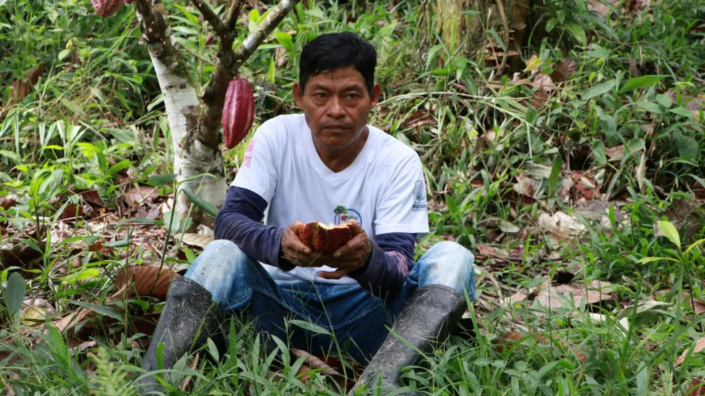 Surgir como la ceiba: preservación y saberes del Amazonas