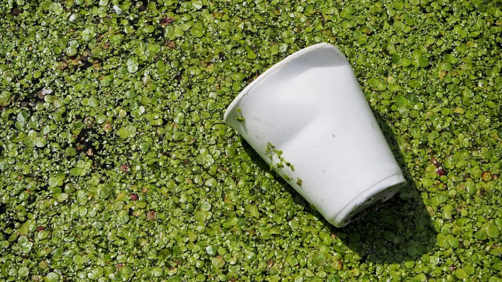 Empaques biodegradables 