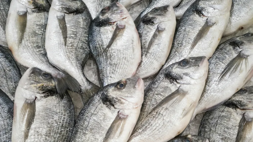 Pescadores celebran aprobación del OCAD Paz por 25 mil millones 