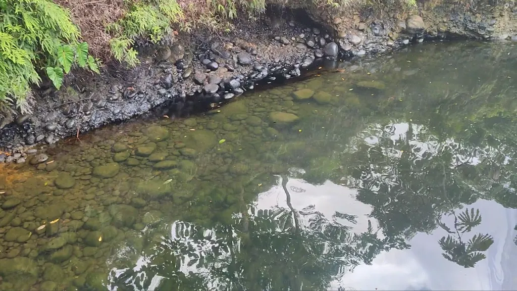 En Nariño hay más de 12 mil personas afectadas por derrame de crudo en ríos
