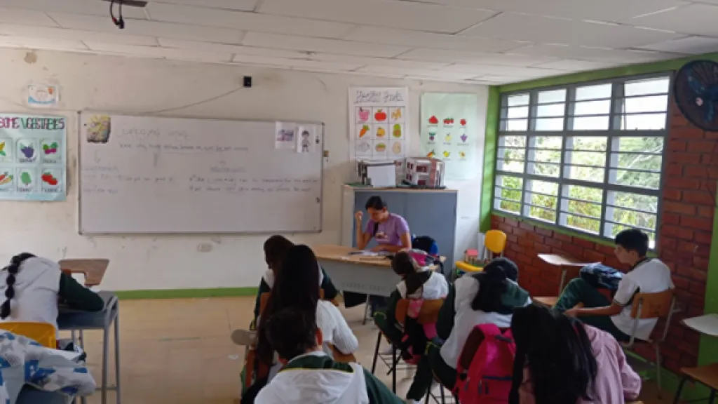 Reclutamiento de niños en Catatumbo: cómo se protege a los niños