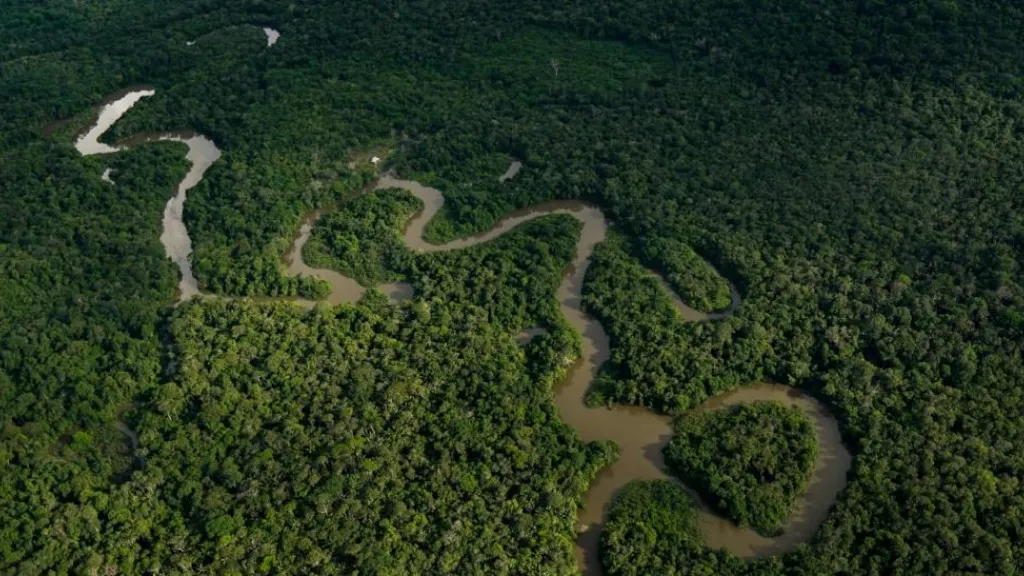 ¡Respira Amazonía de RTVC ganó dos Premios India Catalina 2024!