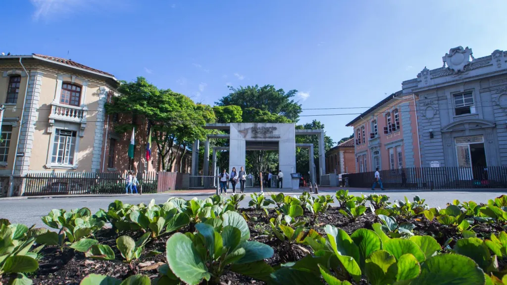 Emergencia hospitalaria Medellín: San Vicente supera 150% de capacidad en Urgencias
