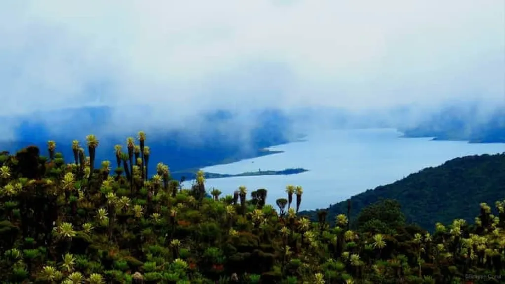 Biodiversidad ancestral en Colombia: Valle de Sibundoy y su riqueza cultural