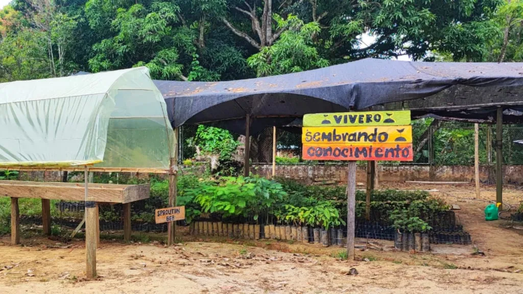 “Sembrando conocimientos”, el programa que busca proteger el Parque Nacional Natural Tinigua