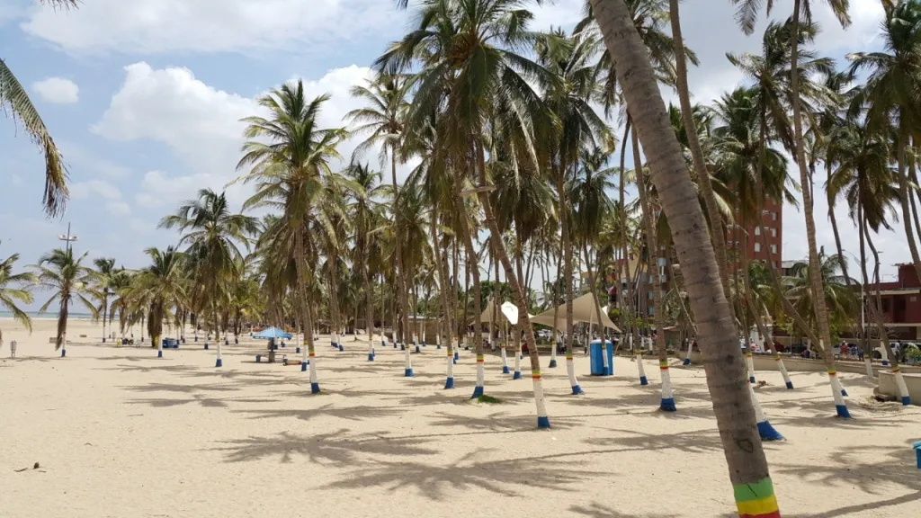 Flexibilizan medidas para contener la propagación del Covid-19 en Riohacha