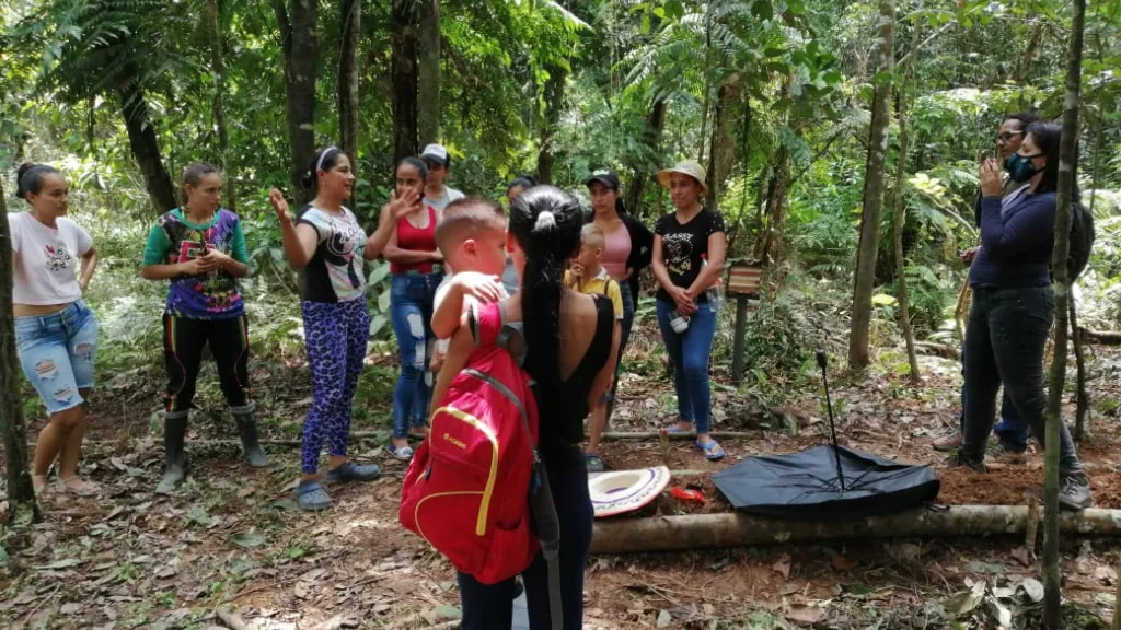 Excombatientes en Putumayo | abejas, paz, medio ambiente