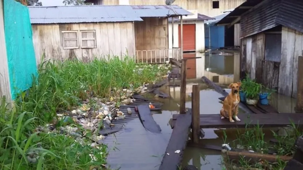 Inundaciones en Riosucio, Chocó, deja sin clases a 3 mil estudiantes