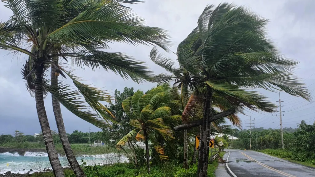 Tormenta tropical julia | Estas son las líneas de emergencia