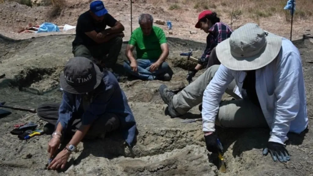 Hallan fósiles de hipopótamos enanos en isla griega de Creta