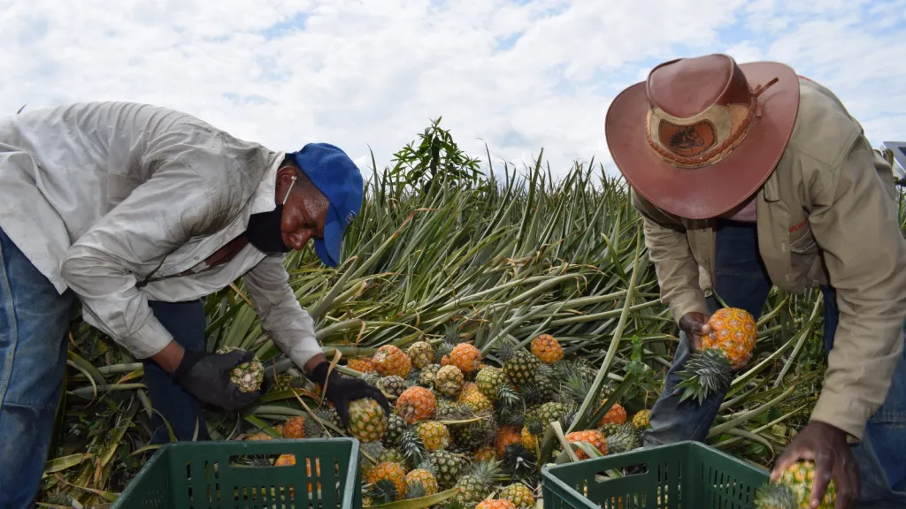 Día Internacional de Concienciación sobre la Pérdida y el Desperdicio de Alimentos