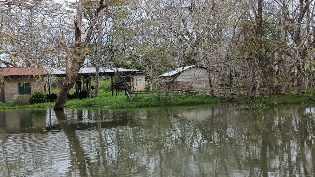 Inundaciones en Guaranda, Sucre: damnificados y daños | Río Cauca 