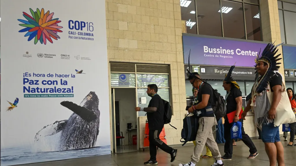 Cop16: Zona Azul y Verde escenarios clave