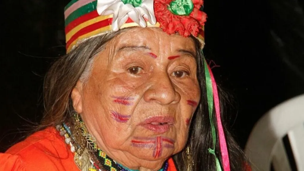 Día Internacional de la Lengua Materna y Día Nacional de Lenguas Nativas