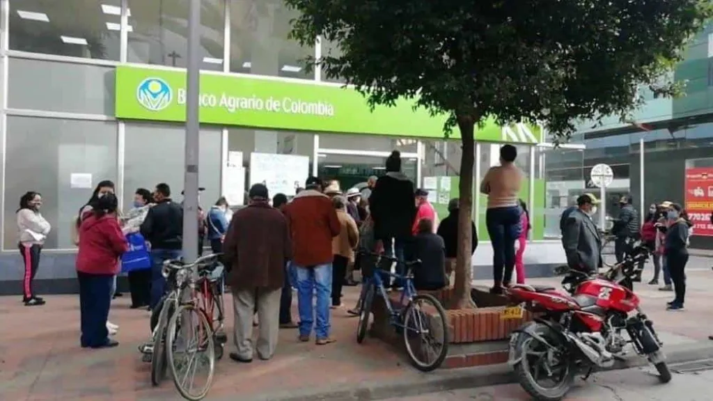 Pago de Tránsito a Renta Ciudadana