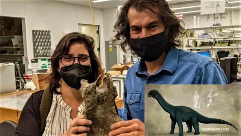 Dinosaurios | ‘Perijasaurus lapaz’, el segundo hallado en Colombia
