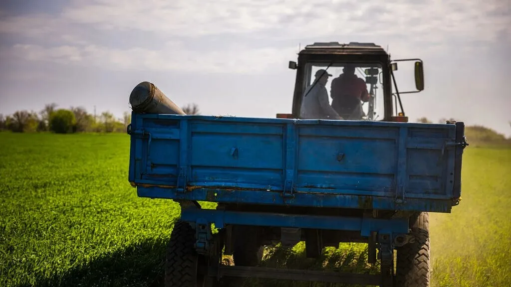 Guerra en Ucrania: sembrar ahora es un riesgo para los agricultores 