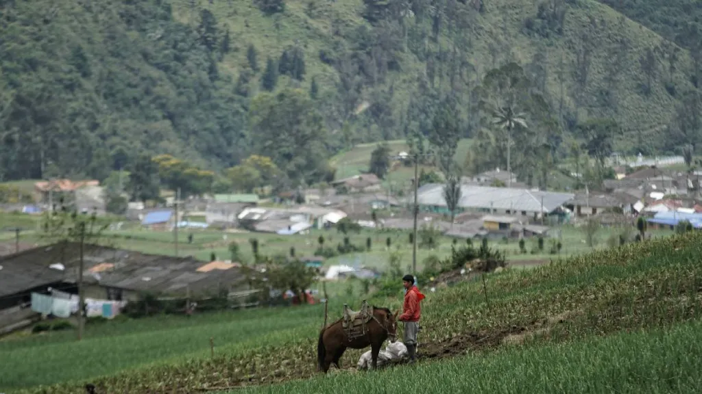 MinAgricultura envía mensaje a campesinos: "No es invadiendo tierras"