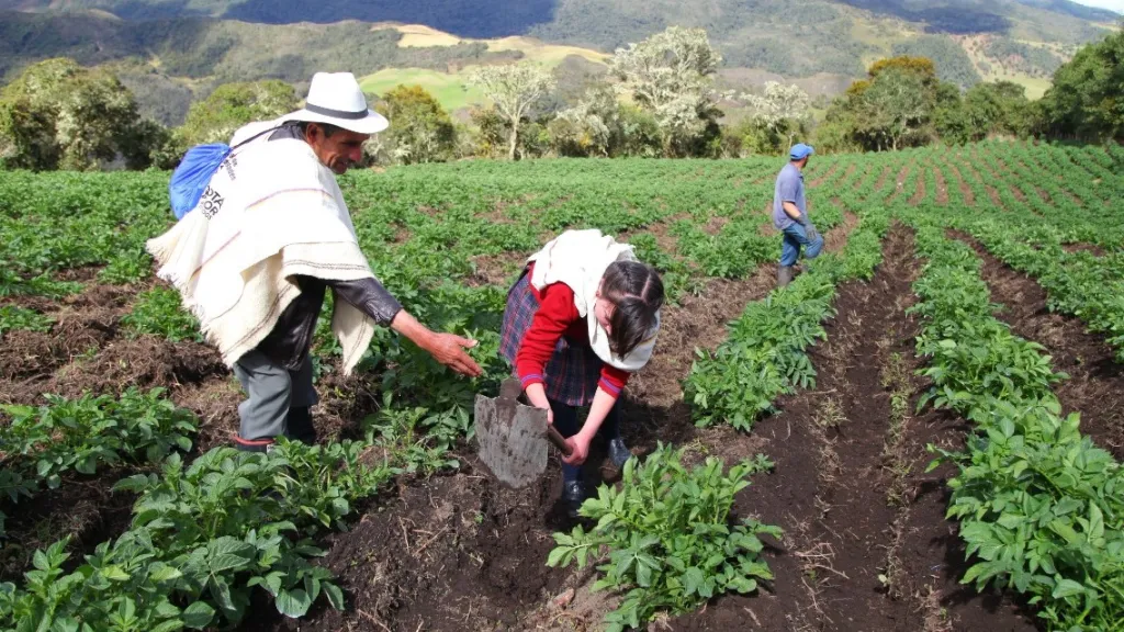 ¿Qué es la Escuela de promotoría campesina? | Agricultura sostenible