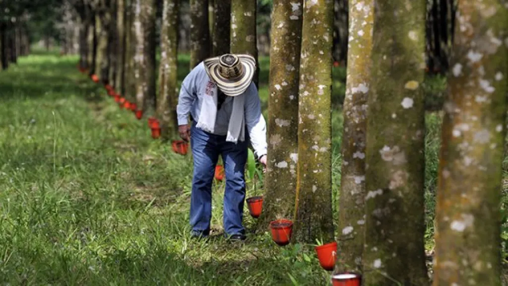 Foto: Ministerio de Agricultura