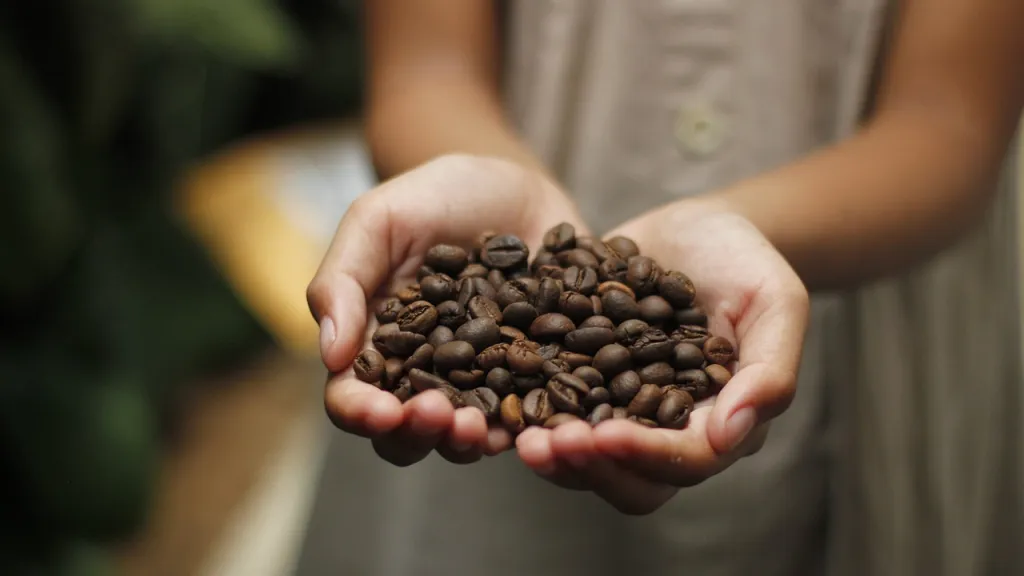 Más de 200 familias en Ataco, Tolima, recibirán apoyo para el fortalecimiento del café