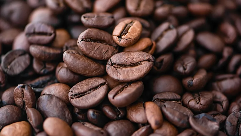 Café de Norte de Santander se venderá al mundo