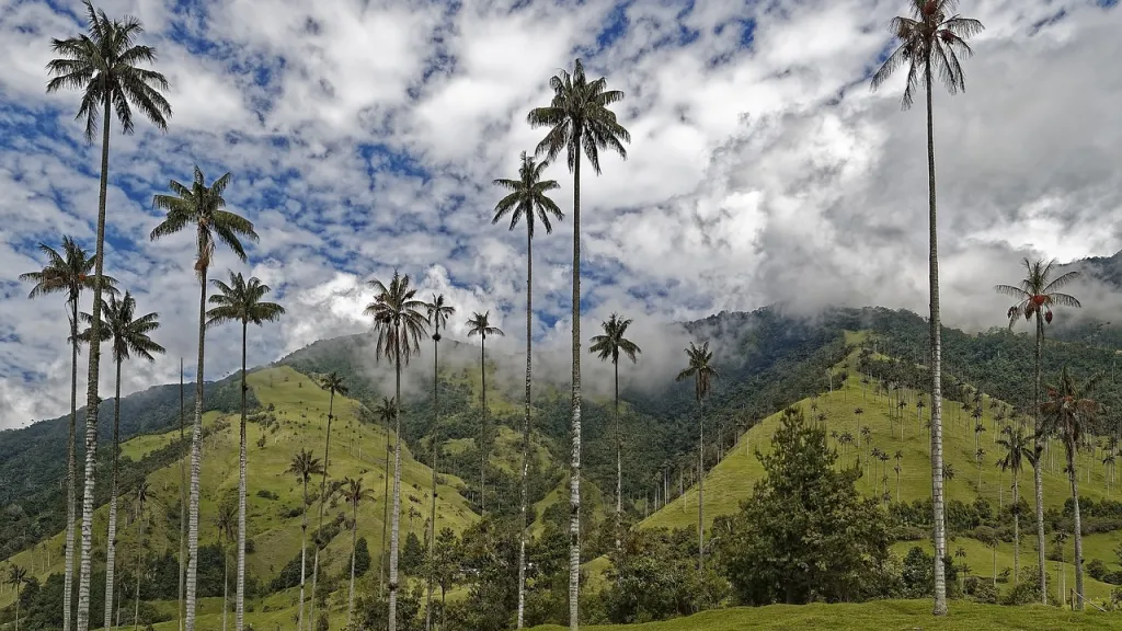 Biodiversidad Colombia: especies, datos y retos