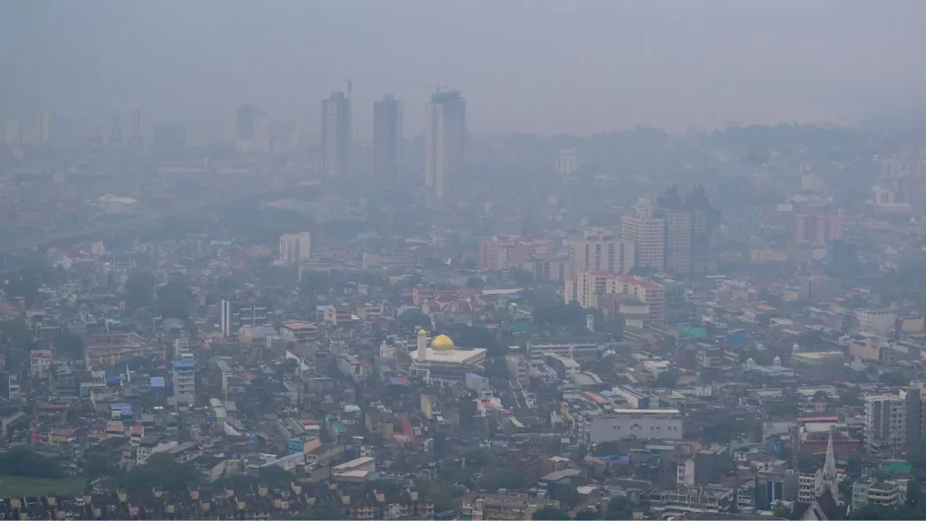 1,5 millones de muertes anuales ligadas a contaminación por incendios