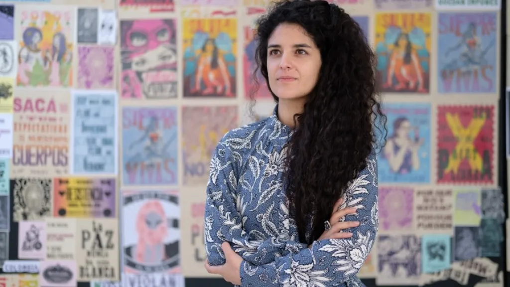 Proyecto para modernizar la Ley de Cultura supera primer debate en la Cámara