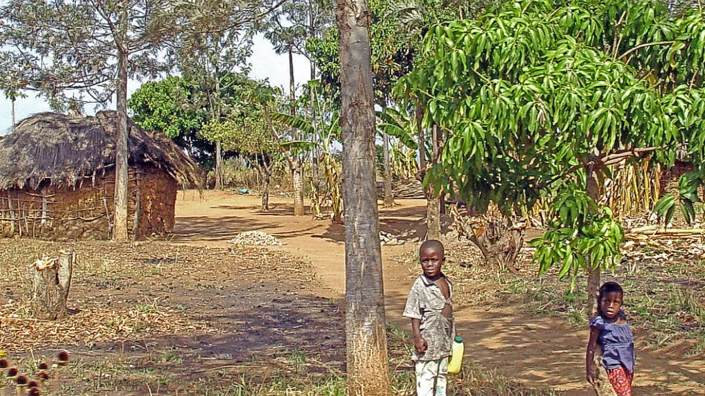 fotografía de hogar en una aldea de la zona tropical