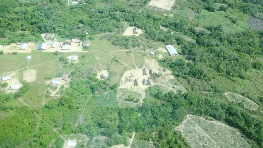 Causas de la deforestación en Colombia: un análisis profundo por expertos