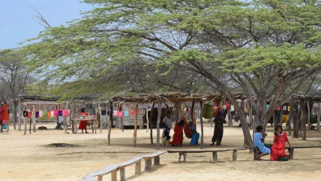 Muerte de niños por desnutrición en La Guajira bajó