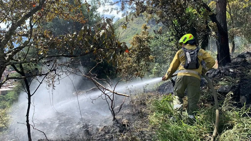 Incendios forestales en Medellín 2023: daños generados  