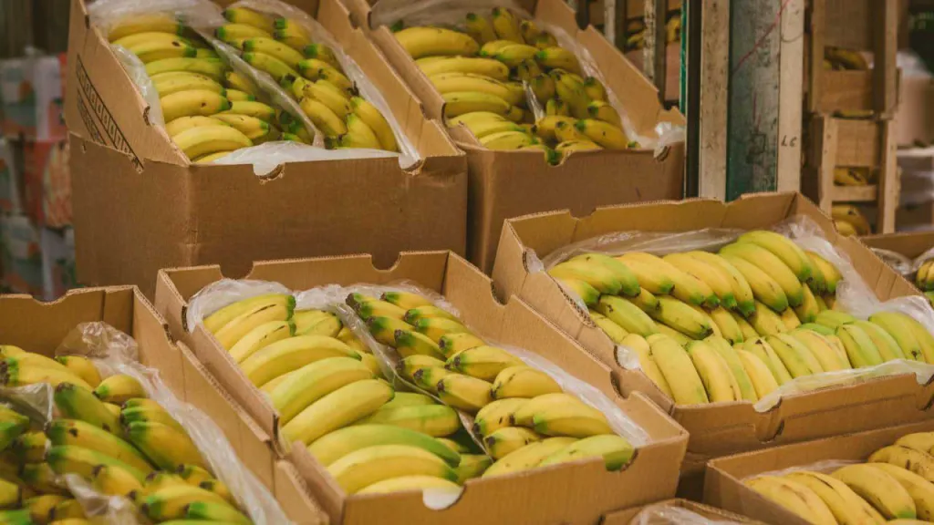 Crecimiento exportaciones agropecuarias Colombia 2026