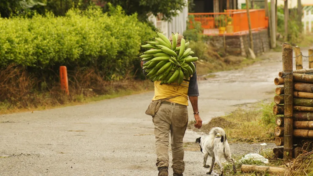 Campesinos en Colombia, desafíos y condiciones de vida en el campo