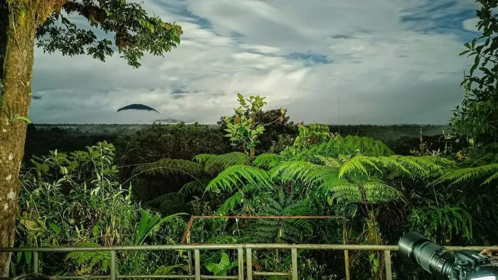 Reserva natural 'La Planada': Turismo sostenible en Nariño | Comunidad Awá